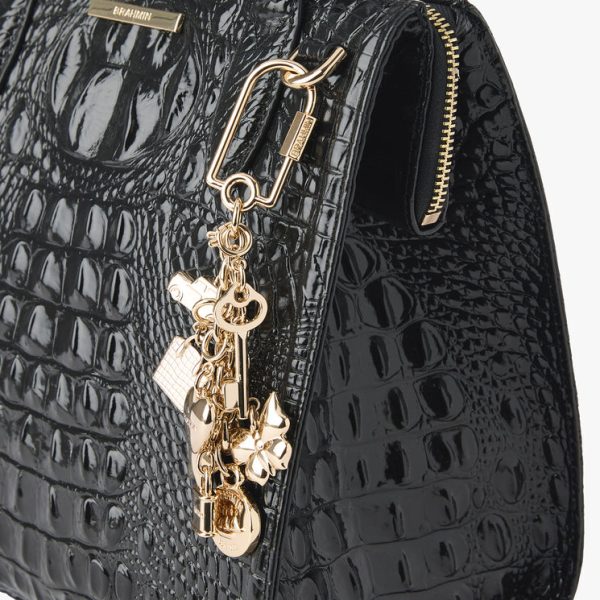 Lock Clip with Charms
